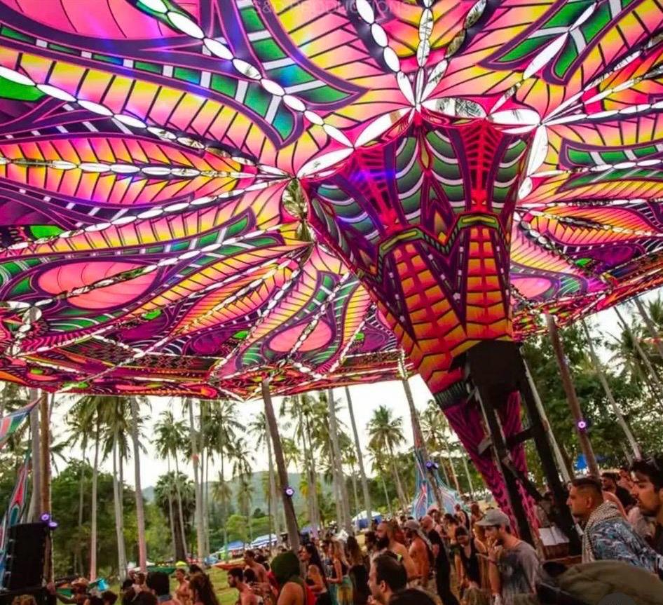 ציליות פסיכדליות 7